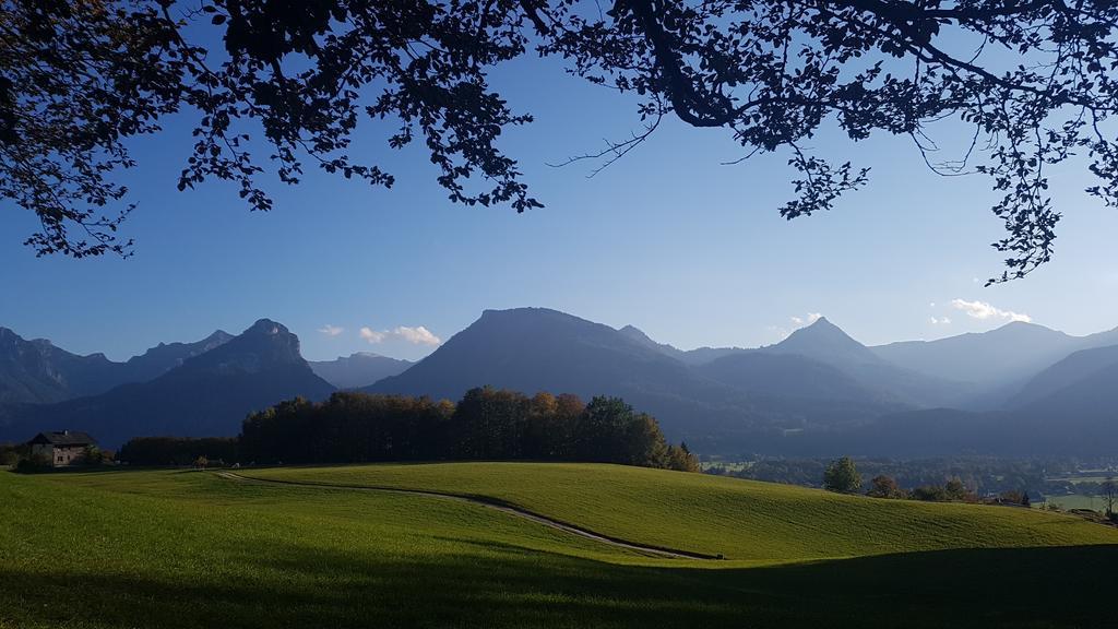 Appartamento residenz5360 Saint Wolfgang Esterno foto